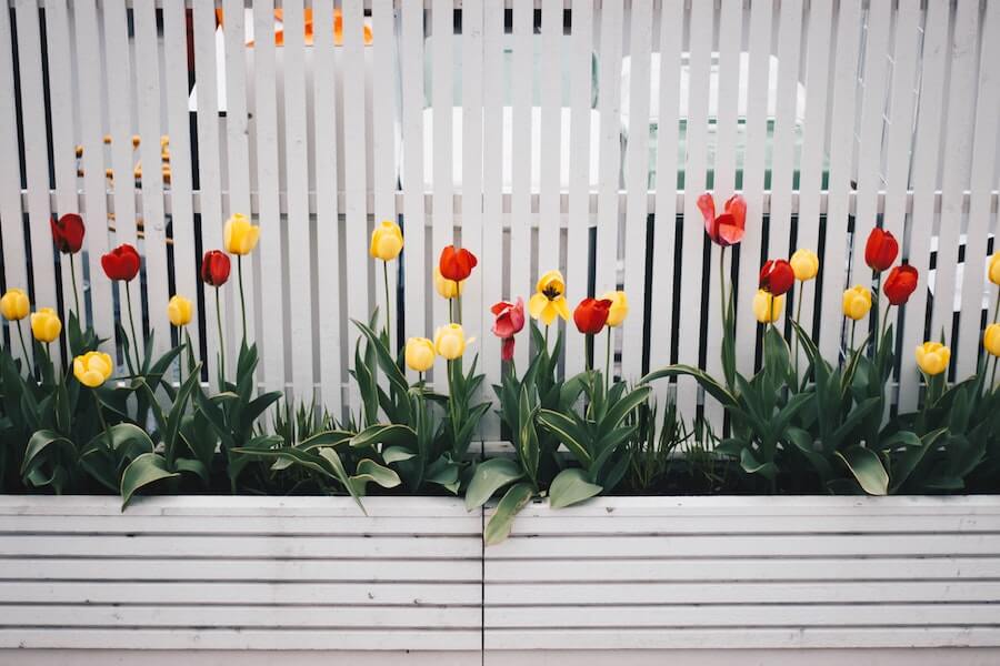 The perfect timber fence